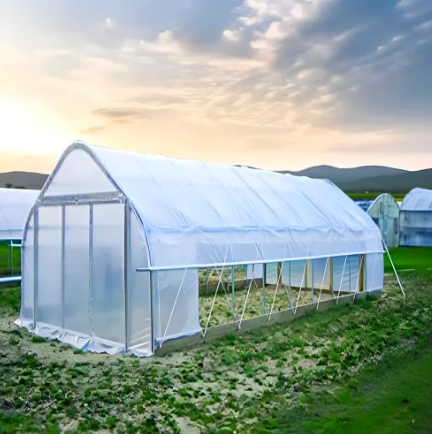 PolyHouse-GreenHouse